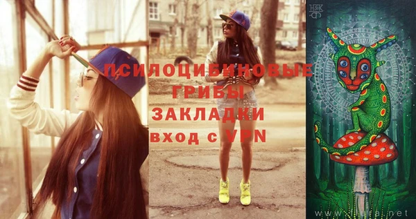 apvp Заволжье