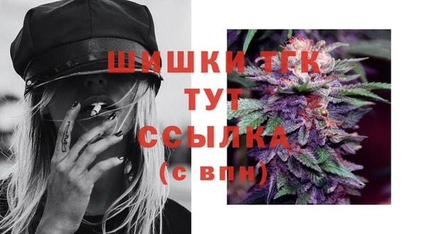 молекула духа Заводоуковск