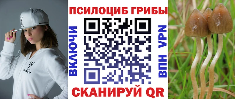 мориарти состав  mega ссылки  Сегежа  цена   Галлюциногенные грибы мухоморы 