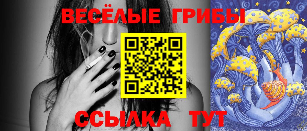 Галлюциногенные грибы прущие грибы Сегежа